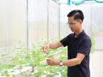 Góp sức trẻ xây dựng quê hương