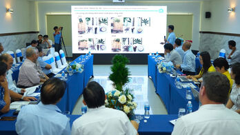 Ứng dụng chỉ thị phân tử trong phát triển giống khoai mì kháng bệnh khảm lá