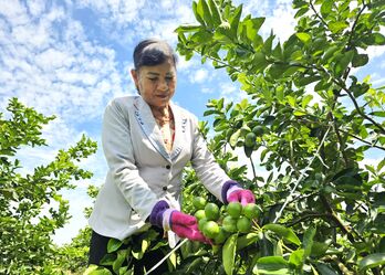 Xây dựng và phát triển văn hóa - Kết quả một hành trình