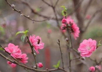 State employees to enjoy 9-day Tet holiday