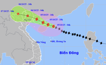 Bão Matmo mạnh cấp 12, giật cấp 15 đang cách Quảng Ninh 550km, chiều nay vào vịnh Bắc Bộ