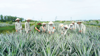 Chính sách đặc xá - Rộng mở đường về nẻo thiện