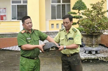 Công an xã Vàm Cỏ bàn giao cá thể rùa quý hiếm