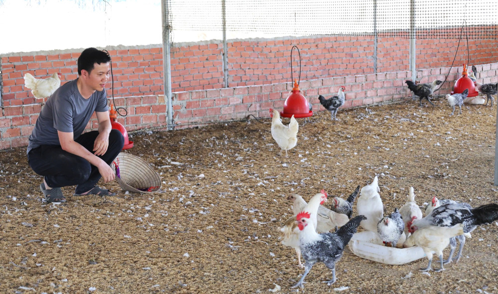 Ứng dụng công nghệ cao, phát triển nông nghiệp bền vững