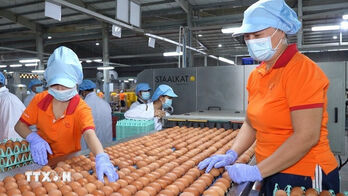 Corporate capital expansion surges 168% in nine months