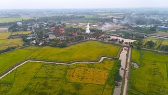 Mùa gặt tháng Mười