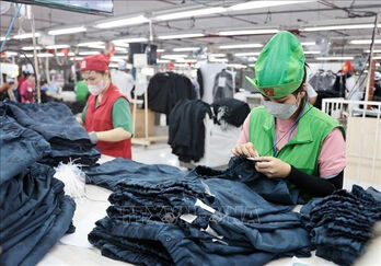 Vietnam exceeds global forecasts with 8.23% GDP growth