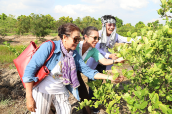 Science and technology enterprises - The nucleus of innovation and creativity