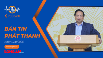Bản tin phát thanh ngày 11/10/2025