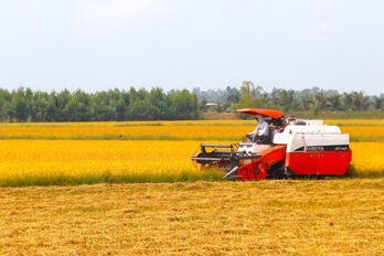 Tay Ninh promotes production-consumption linkage