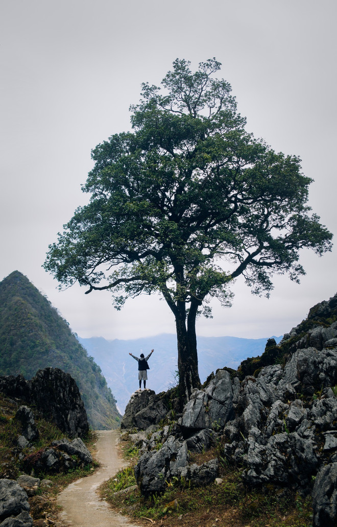 Điểm đến Việt Nam với 'cú đúp' Giải thưởng thế giới Readers’ Choice Awards 2025
