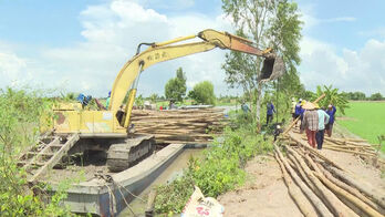 Tây Ninh: Nước lũ dâng cao, hàng ngàn hécta lúa và cây ăn trái vùng Đồng Tháp Mười bị đe dọa