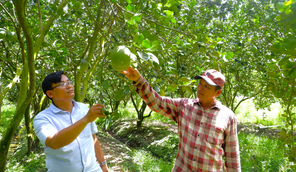 Vietnam Farmers' Union accompanies Tay Ninh in building modern agriculture