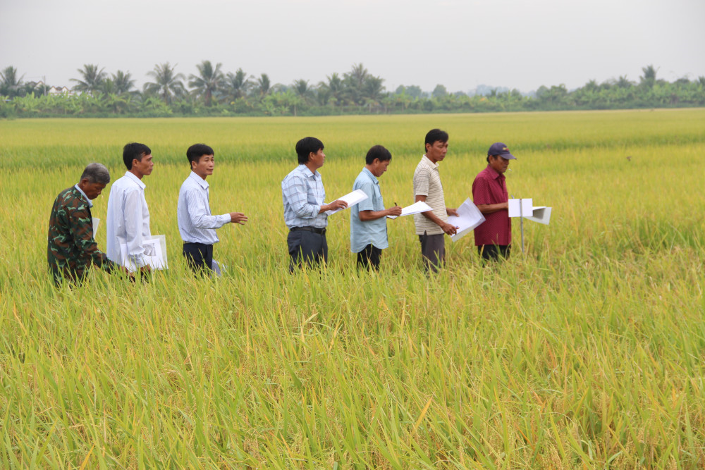 Vietnam Farmers' Union accompanies Tay Ninh in building modern agriculture
