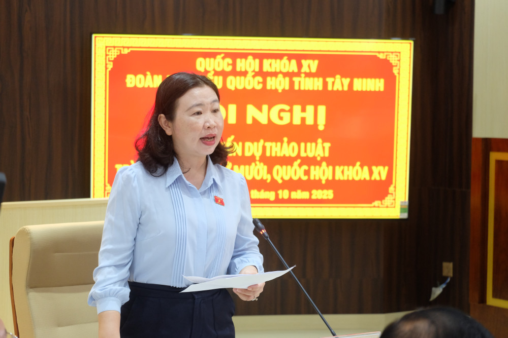 Phó Trưởng đoàn chuyên trách Đoàn ĐBQH tỉnh Lê Thị Song An phát biểu tại hội nghị