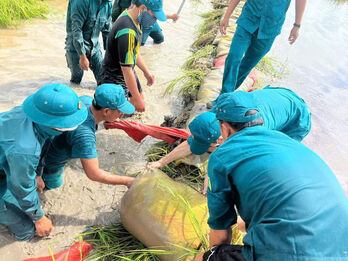Xã Hưng Điền huy động lực lượng giúp dân cứu lúa