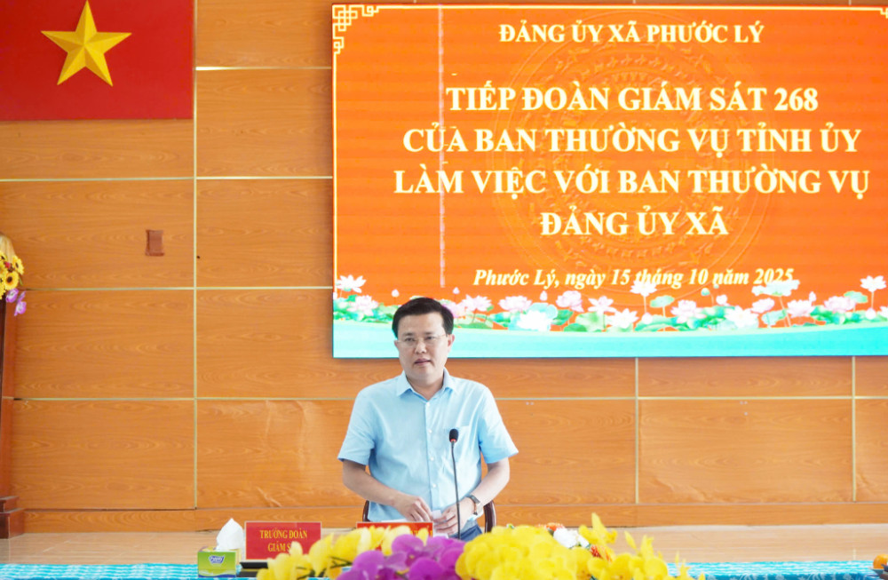 Đoàn Giám sát 268 của Ban Thường vụ Tỉnh ủy làm việc tại xã Phước Lý