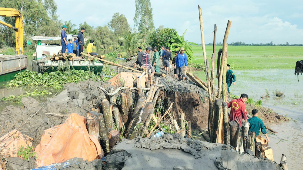 Tây Ninh: Huy động lực lượng khẩn trương khắc phục sự cố vỡ đê