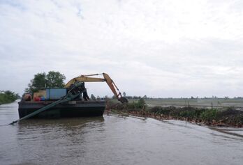 Tập trung toàn lực bảo vệ vùng sản xuất