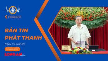 Bản tin phát thanh ngày 15/10/2025