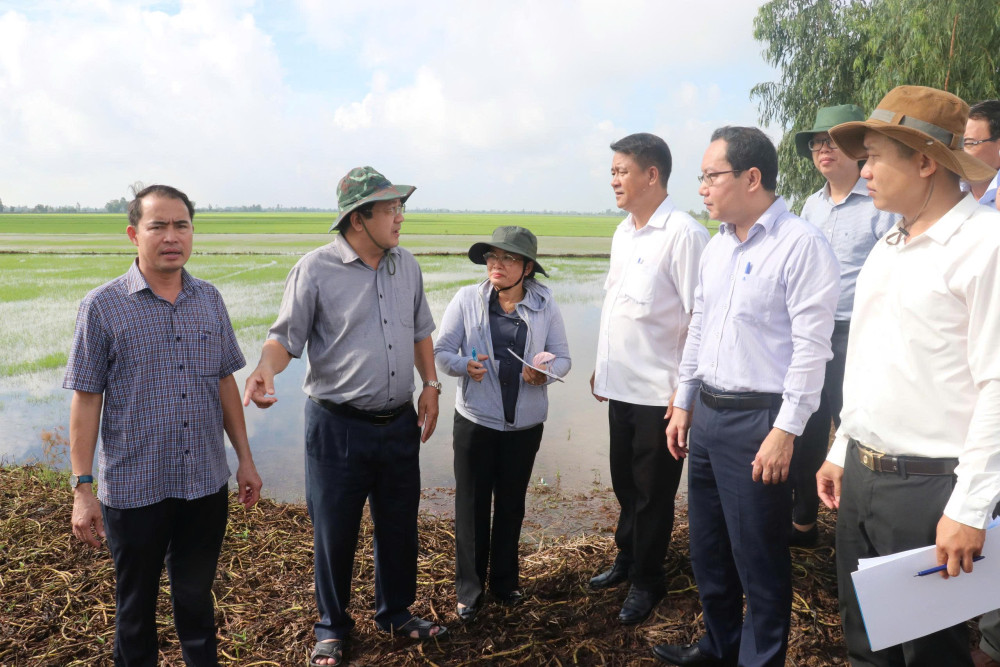 Tập trung toàn lực bảo vệ vùng sản xuất