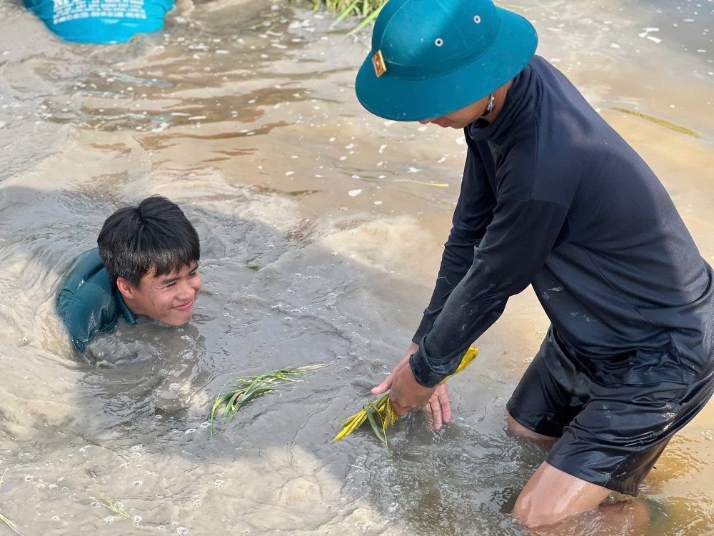 Dân quân xã Hưng Điền dầm mình trong nước gia cố đê bao bảo vệ lúa
