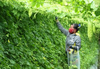 Đồng hành cùng phụ nữ phát triển kinh tế