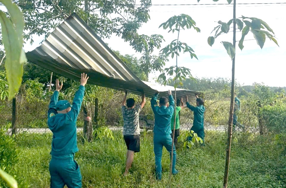 Lực lượng vũ trang tỉnh Tây Ninh giúp dân gặt lúa, dựng nhà trong thiên tai