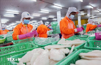 Mekong Delta invests in science, technology to increase enhance aquatic product quality Mekong Delta invests in science, technology to increase enhance aquatic product quality