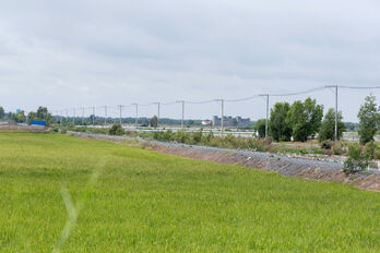 Đổi thay ở cánh đồng Gò Ngãi