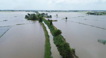 Tây Ninh: Cảnh báo lũ khẩn cấp, mực nước trên các sông tiếp tục dâng cao