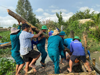 Dân quân xã Vĩnh Châu kịp thời bảo vệ hơn 50ha lúa