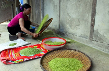 Lào Cai giới thiệu nhiều đặc sản nổi tiếng tại Hội chợ mùa Thu năm 2025