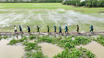 Lãnh đạo xã Tân Thạnh túc trực cùng người dân, quyết tâm giữ đê cứu lúa