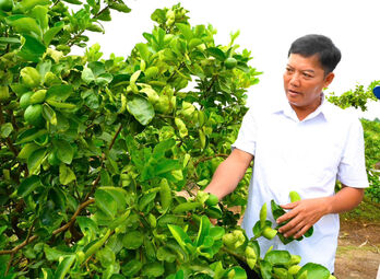 Nông dân cần cù làm kinh tế giỏi