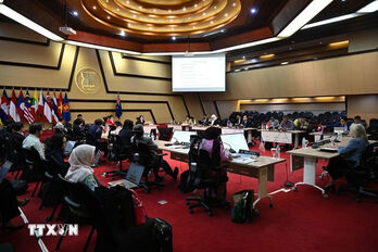 Vietnam contributes to shaping ASEAN’s future: Ambassador