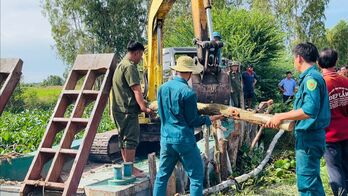 Tây Ninh khẩn trương gia cố 23 tuyến đê bao bảo vệ sản xuất nông nghiệp