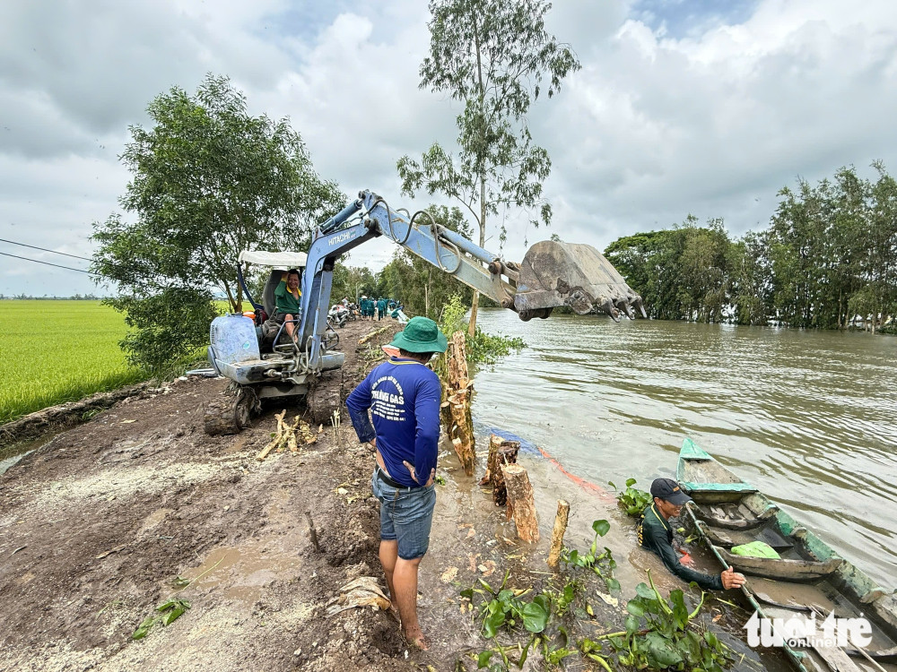 Nước lũ dâng, An Giang huy động dân quân đắp đập, gia cố đê bảo vệ lúa