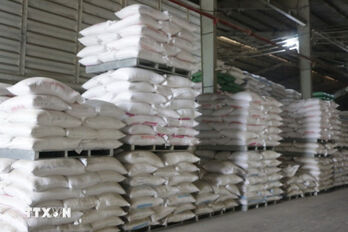 Vietnam remains Singapore’s third-largest rice supplier