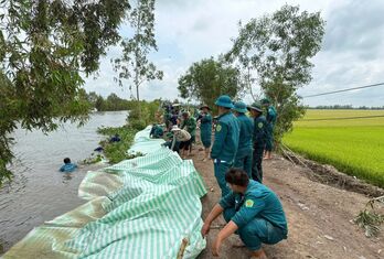 Nước lũ dâng, An Giang huy động dân quân đắp đập, gia cố đê bảo vệ lúa