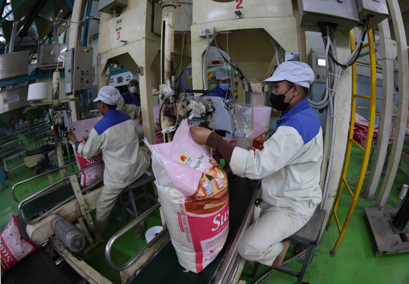 Vietnam approves content of MoU on rice trade cooperation with Singapore