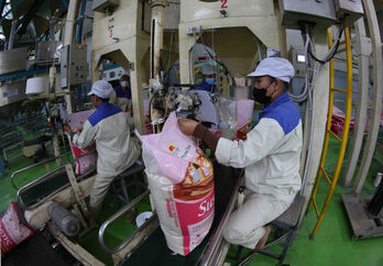 Vietnam approves content of MoU on rice trade cooperation with Singapore