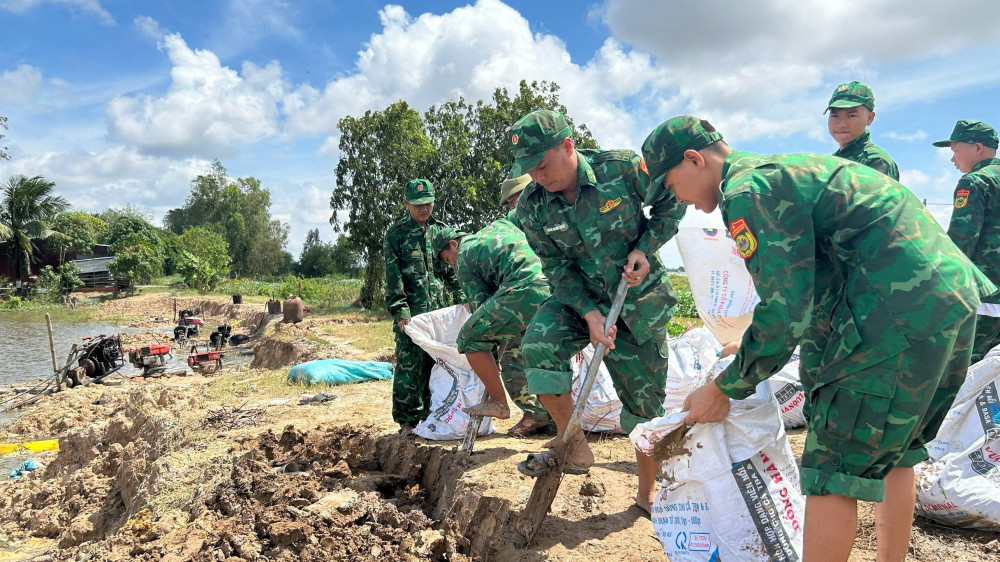 Cán bộ, chiến sĩ Đồn Biên phòng Sông Trăng gia cố đê bao, bảo vệ 300ha lúa sắp thu hoạch