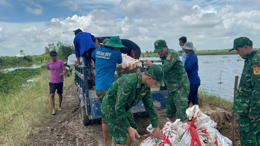 Cán bộ, chiến sĩ Đồn Biên phòng Sông Trăng gia cố đê bao, bảo vệ 300ha lúa sắp thu hoạch