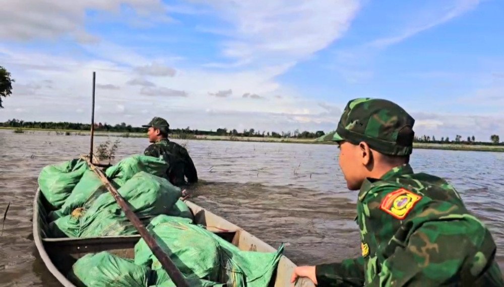 Cán bộ, chiến sĩ Đồn Biên phòng Sông Trăng gia cố đê bao, bảo vệ 300ha lúa sắp thu hoạch