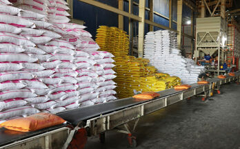 Vietnam exports 7 million tonnes of rice, earning nearly 3.59 billion USD