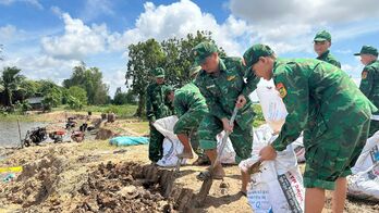 Cán bộ, chiến sĩ Đồn Biên phòng Sông Trăng gia cố đê bao, bảo vệ 300ha lúa sắp thu hoạch