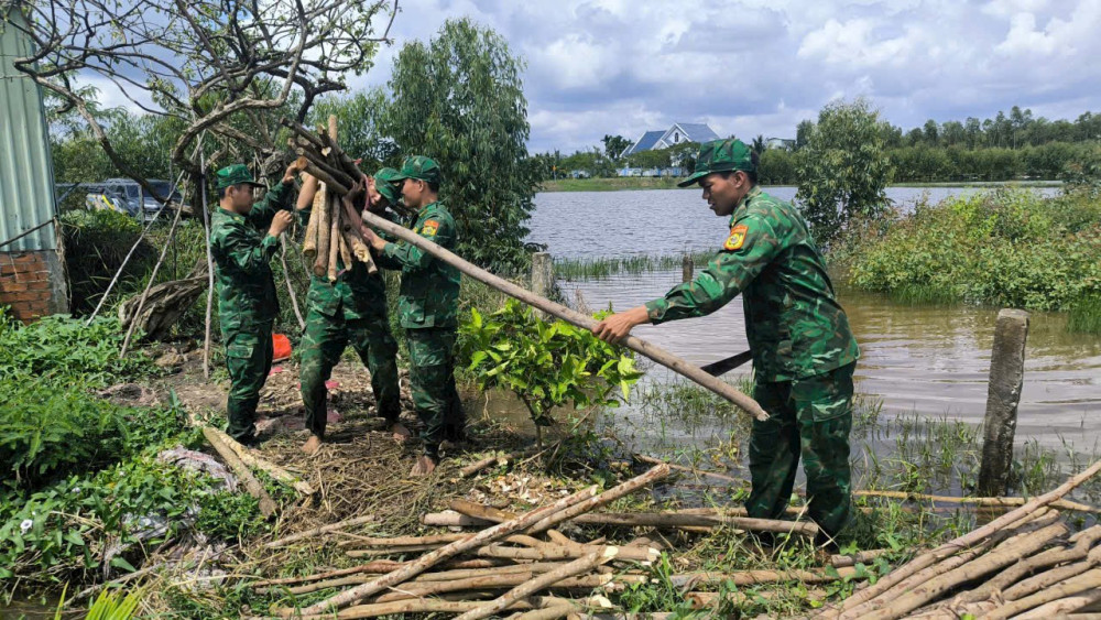 Bộ đội biên phòng giúp dân hộ đê, cứu lúa