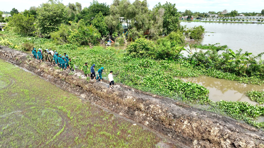 Tân Thạnh: Dồn sức gia cố đê bao chống lũ