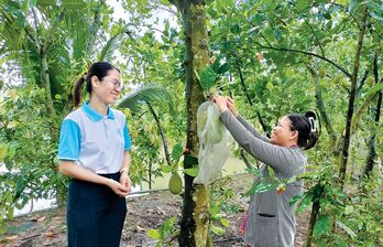 Tạo sinh kế bền vững - nền tảng để giảm nghèo